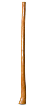 Gloss Finish Didgeridoo (TW1193)